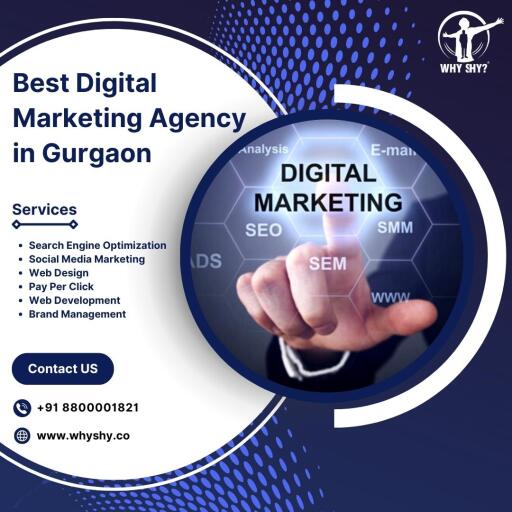 Best Digital Marketing Agency in Gurgaon | Why Shy