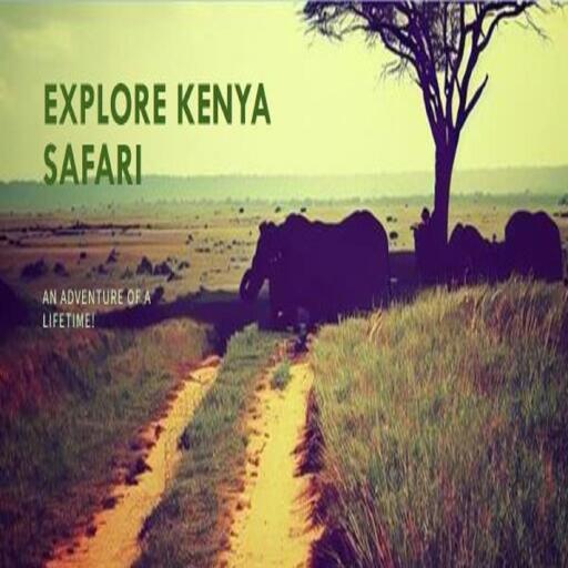 Kenya Safari All-Inclusive Packages: Your Passport to Exploration
