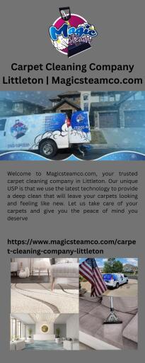 Carpet Cleaning Company Littleton Magicsteamco.com