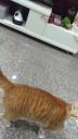 IMG 20230306 182753