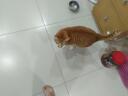 IMG 20221024 205912