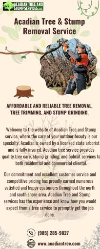 Tree Removal Bay St. Louis - Acadian Tree and Stump Removal Service