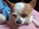 2013 0329 (13)