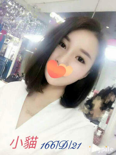 小貓