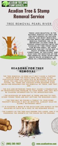 Slidell Tree Removal | Acadian Tree and Stump Removal Service