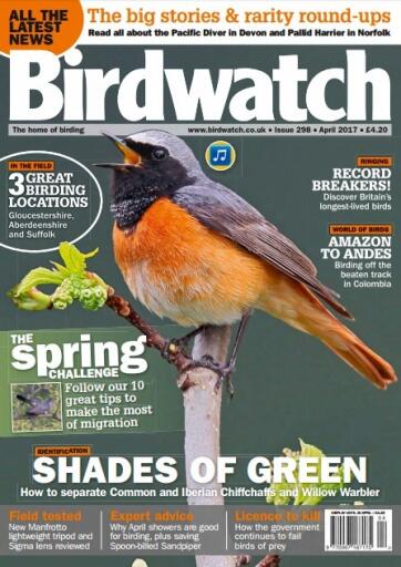 Birdwatch UK April 2017 (1)