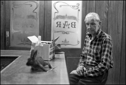 0084 1965 man and pet rabbit newcastle hotel sydney R