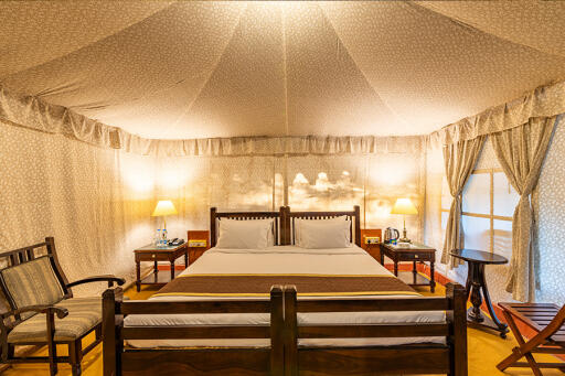 best  hotels in ranthambore for tiger safari