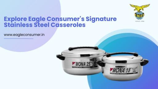 Premium Stainless Steel Casseroles by Eagle Consumer