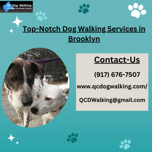 Top-Notch Dog Walking Services in Brooklyn