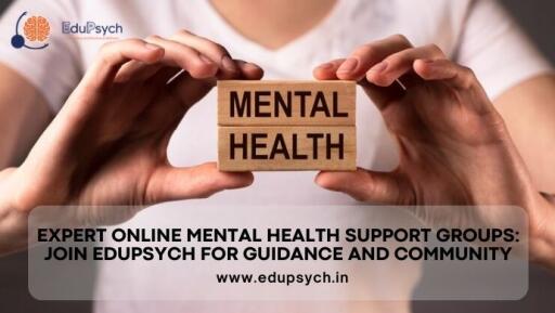 EduPsych: Expert Online Mental Health Support Groups