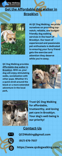 Get the Affordable dog walker in Brooklyn