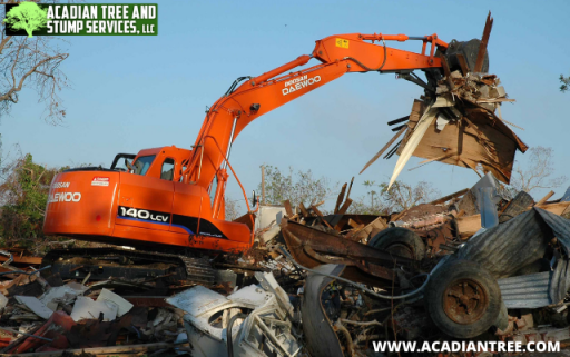 Mandeville Tree Removal | Acadian Tree and Stump Removal Service