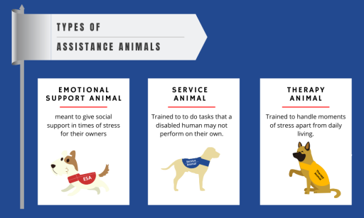 Types of Assistance animals
