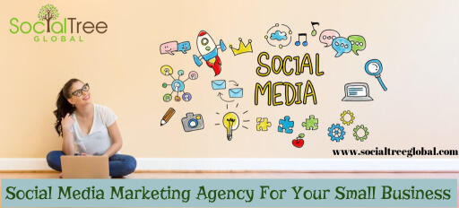 Social Media Marketing Agency For Small Business
