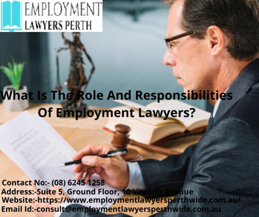 what is the role and responsibilities of employment lawyers?
