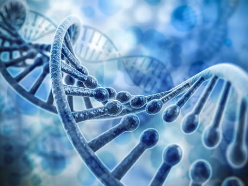 genome sequencing Bioinformatics
