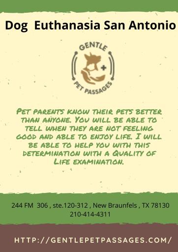 Dog Euthanasia San Antonio Gentle Pet Passages