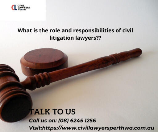What is the role and responsibilities of civil litigation lawyers?