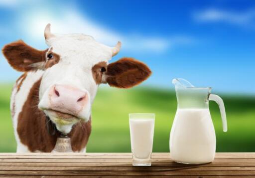 Vaccine-for-Cows-Milk-Allergy