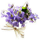 purple by kmygraphic d7ek1zt