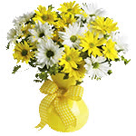 for you by kmygraphic d7gaxnq