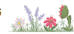 the garden by converse kidd d41hjar