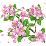 spring r by kmygraphic d8id09u
