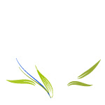 greenheart by kmygraphic d756a1v