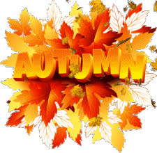 autumn kmygraphic sm