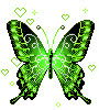borboleta verde