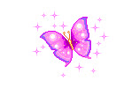borboleta13