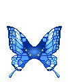 borboleta5