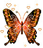 borboleta ouro