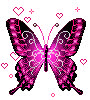 borboleta pink