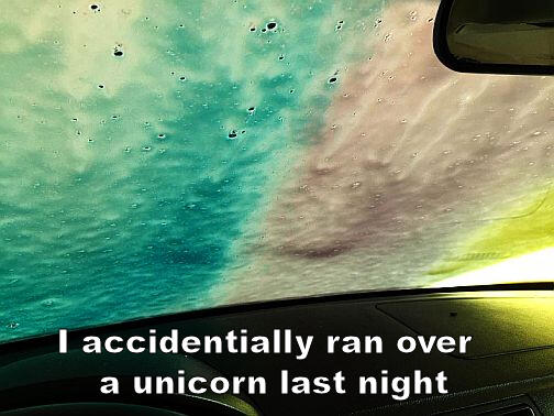 unicorn11