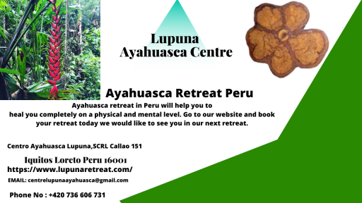 Plant Medicine Retreat Peru
