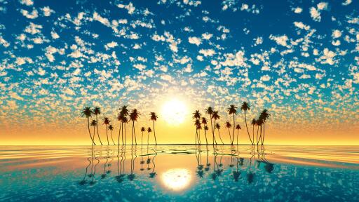 palm trees reflection sunset cd 3840x2160
