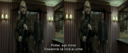Harry Potter and the Deathly Hallows Part 1 (2010) 1