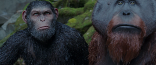 War For The Planet Of The Apes (2017) 1