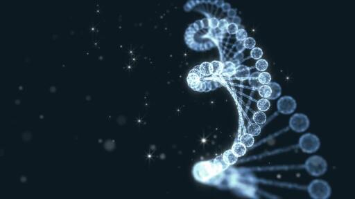 genomics and bioinformatics