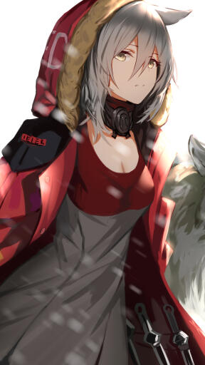 anime girl wolf projekt red arknights uhdpaper.com 4K mobile 6.530
