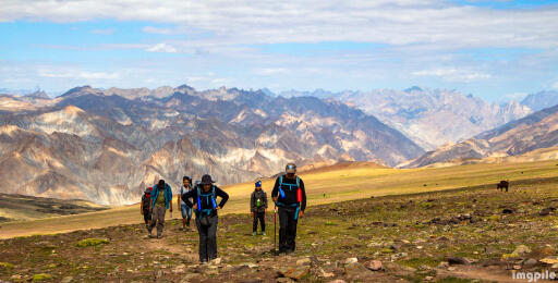 "Whispers of the Wilderness: Markha Valley Trekking Escapes"