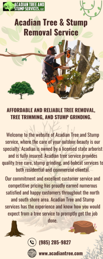 Tree Removal Bush | Acadian Tree and Stump Removal Service