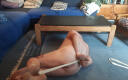 My name is Holger, I live in Germany and I love to get tied up.Here I