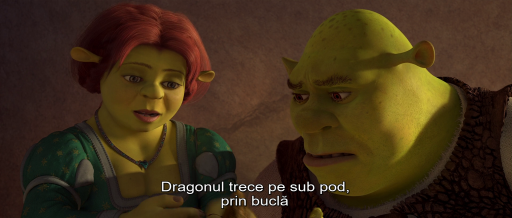 Shrek Forever After (2010) 1