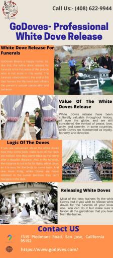 White Doves for Wedding | GoDoves- Professional White Dove Releases