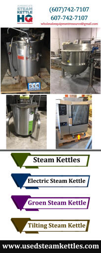 Electric Steam Kettle