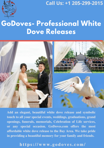 Dove Release Wedding | GoDoves- Professional White Dove Releases