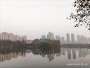 IMG 20201130 072521